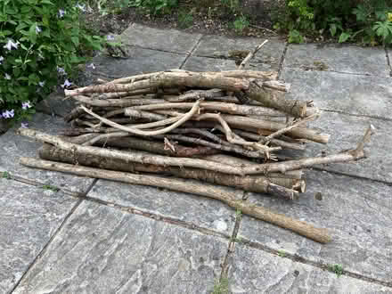 Photo of free Wood (Ashtead KT21 near Epsom) #1