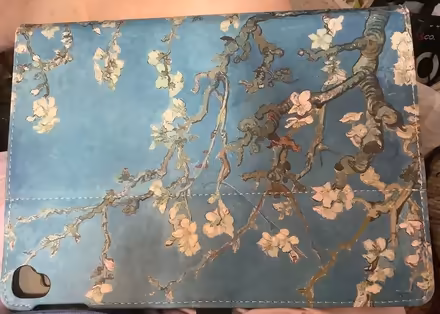 Photo of free iPad 9” Pro cover (Plymouth) #1