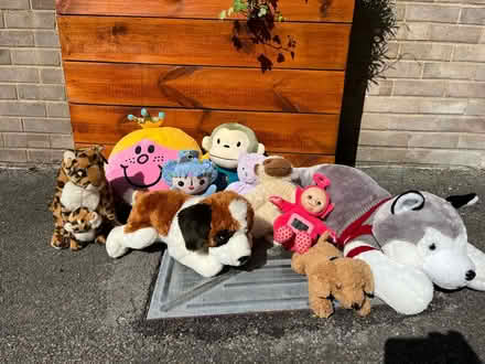 Photo of free 10 teddies (Tunbridge Wells) #1