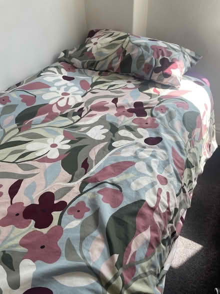 Photo of free Single bed (Audenshaw) #2