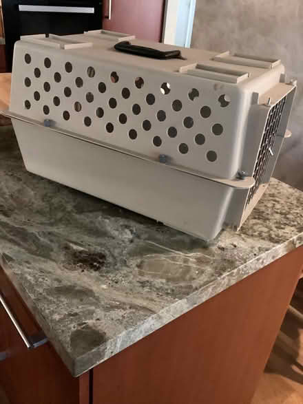 Photo of free Pet carrier (San Anselmo) #3