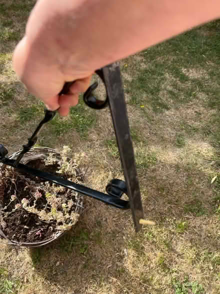 Photo of free Hanging Basket & Metal Wall Bracket (IG6) #4