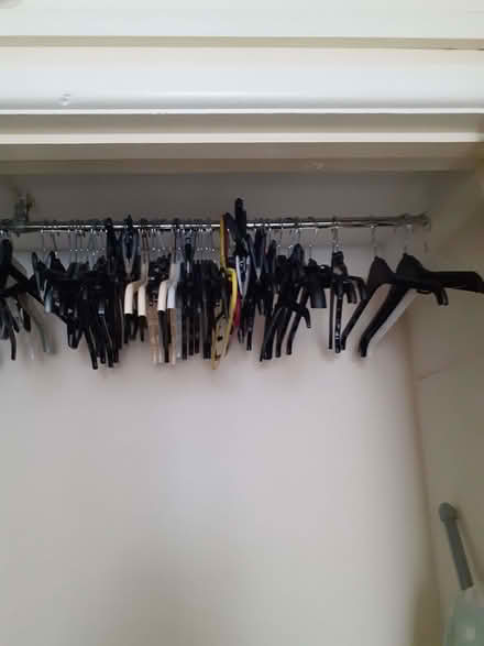 Photo of free Coathangers (Torre TQ2) #2