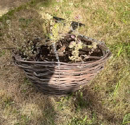 Photo of free Hanging Basket & Metal Wall Bracket (IG6) #2