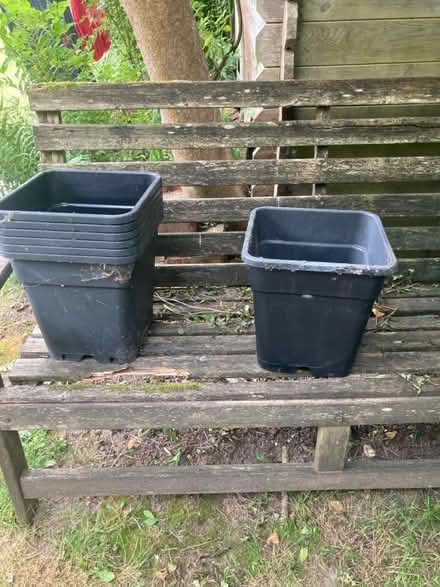 Photo of Large plastic plant pots (Newbury RG19) #1