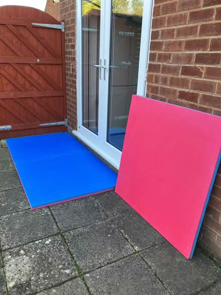 Photo of free 3 x Cannons UK Ltd Red & blue 40mm thick Tatami jigsaw mats (Aston CH5) #2