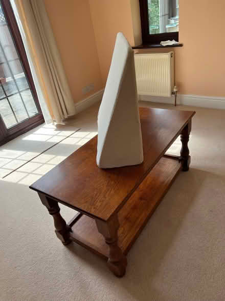 Photo of free Assorted foam wedges/ supports (Layer-de-la-Haye CO2) #3