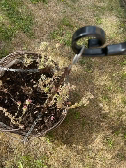 Photo of free Hanging Basket & Metal Wall Bracket (IG6) #3