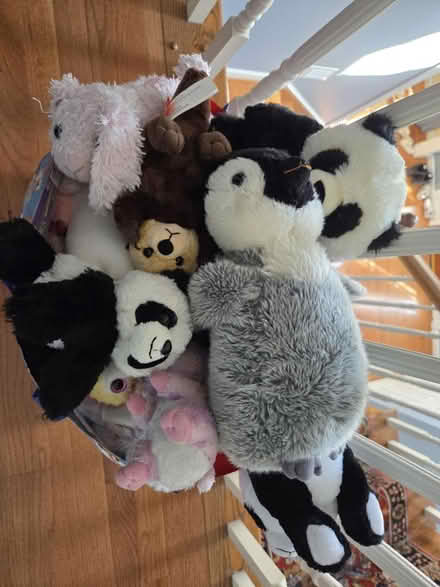 Photo of free Stuffies - like new (Olney) #1