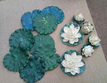 Photo of free Fake water lilies (Horsham, near Bennetts Field) #1