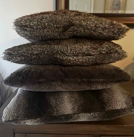 Photo of free Decorative pillows (Potomac MD) #1