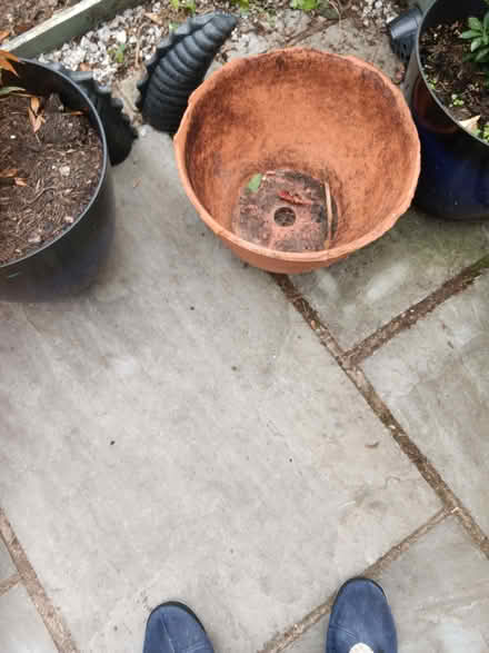Photo of free Terracotta planter (Holmes Chapel CW4) #1
