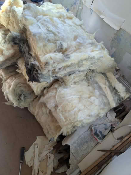 Photo of free Mineral wool insulation from a loft (S7 Nether Edge) #1