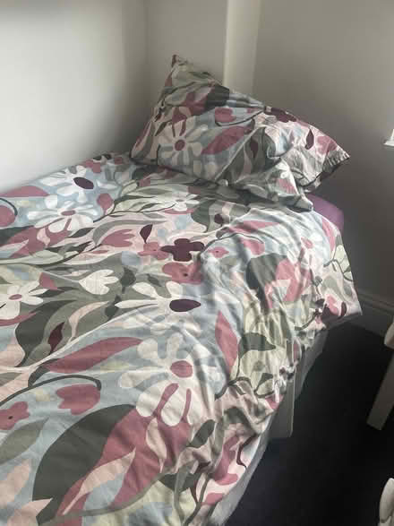 Photo of free Single bed (Audenshaw) #3