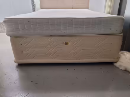 Photo of free Double bed & mattress (Springfield WN6) #1