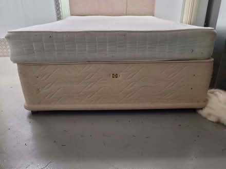 Photo of free Double bed & mattress (Springfield WN6) #1