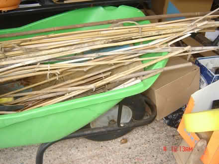 Photo of free Canes (BA2) #3