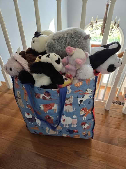 Photo of free Stuffies - like new (Olney) #2