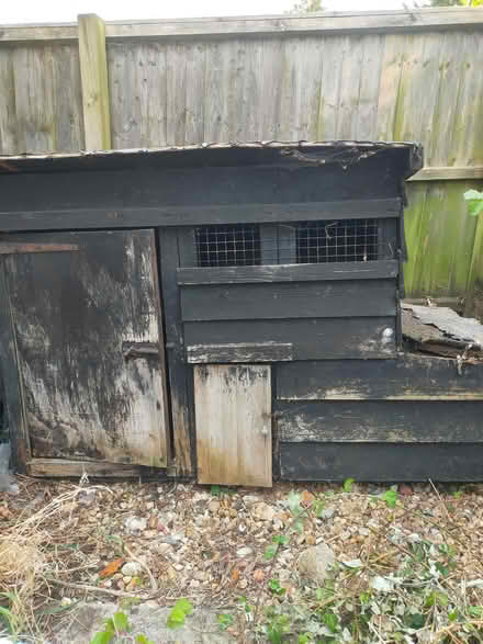 Photo of free Hen house (Ryde PO33) #1