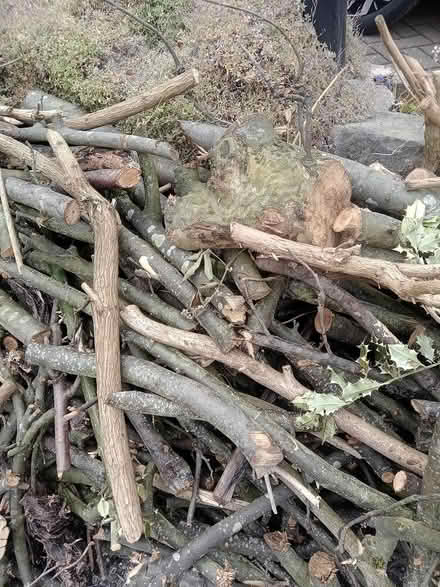 Photo of free Firewood (S6) #3
