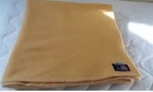 Photo of free All Wool Blanket (Newtown SY16) #1