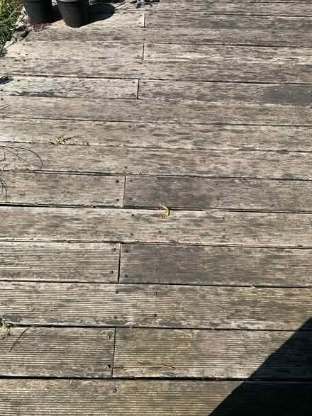 Photo of free Decking (Morningside EH10) #3