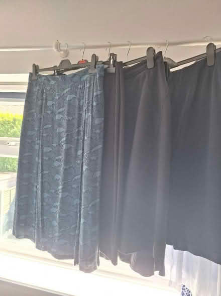 Photo of free Size 16 skirts and dresses (Leckhampton GL53) #3