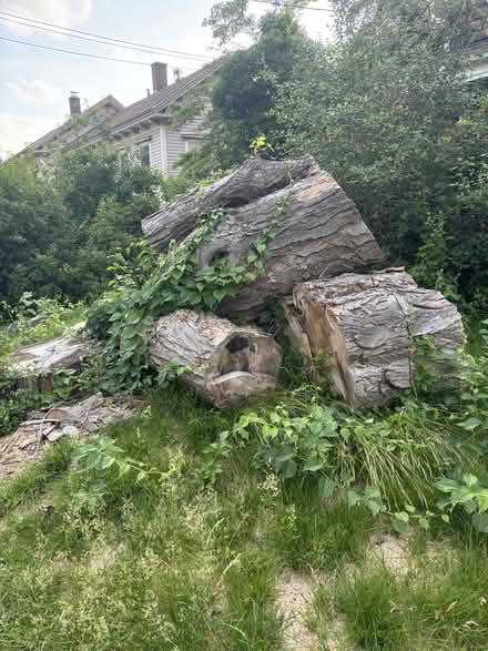 Photo of free Firewood (12 Warren Street, Norwich, CT) #1