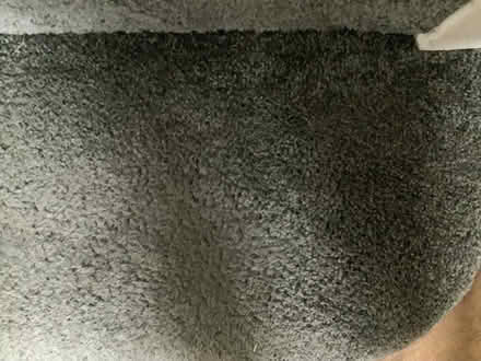 Photo of free Carpet (Waldridge Park DH2) #2