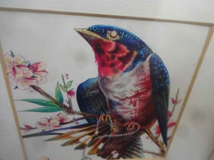 Photo of free Bird picture print in wooden frame (Greenford UB6 8PF) #2