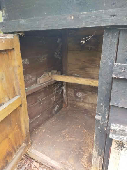 Photo of free Hen house (Ryde PO33) #2