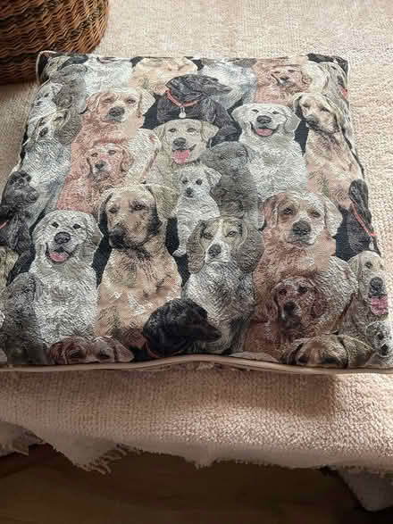 Photo of free Labrador cushion (Erlestoke Devizes SN10) #2