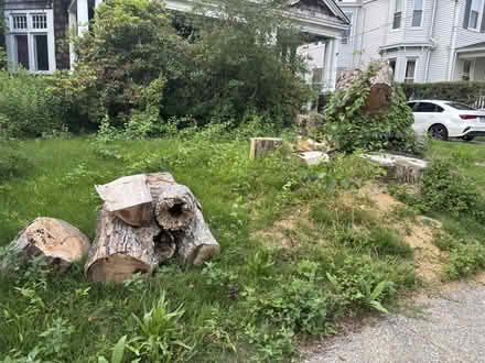 Photo of free Firewood (12 Warren Street, Norwich, CT) #2
