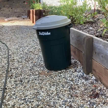 Photo of free Rubbermaid garbage can with lid (Ponderosa Pines MHP) #1
