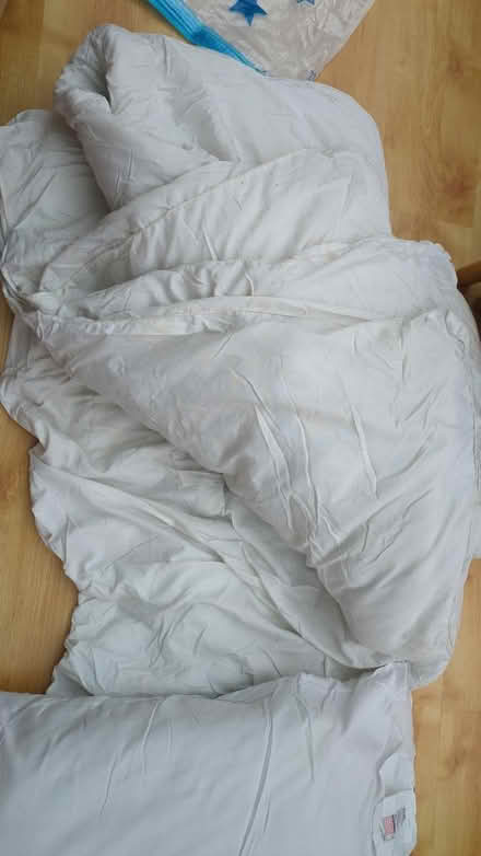 Photo of free Duvet and two pillows (WA14 Altrincham) #3