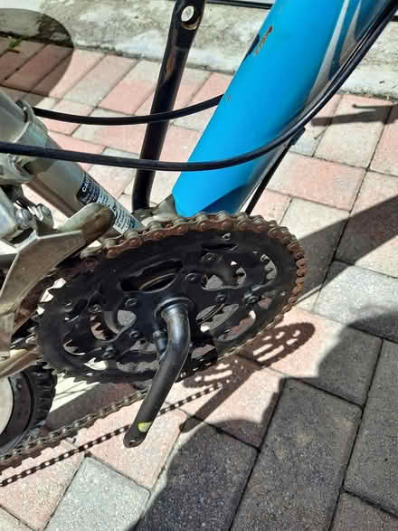 Photo of free Used Bicycle (Pembroke Pines West) #1