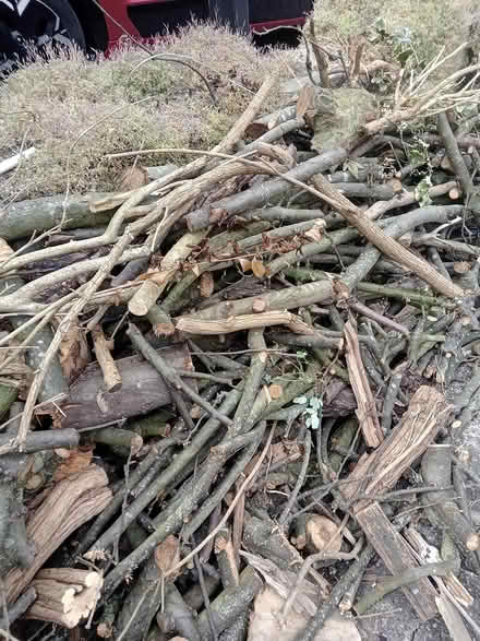 Photo of free Firewood (S6) #2