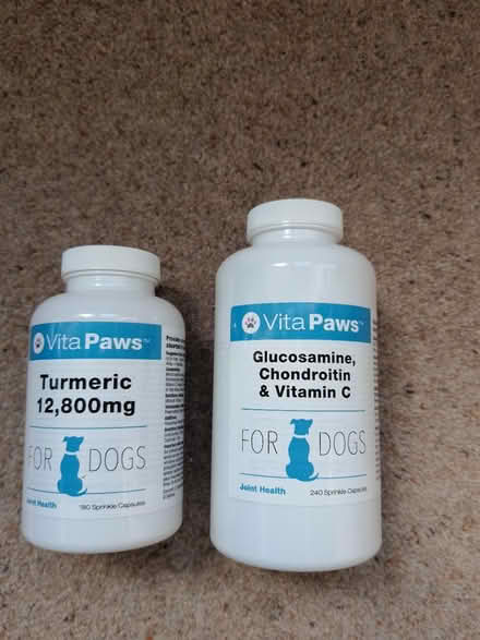 Photo of free Glucosamine & turmeric for dogs (Stroud central) #1