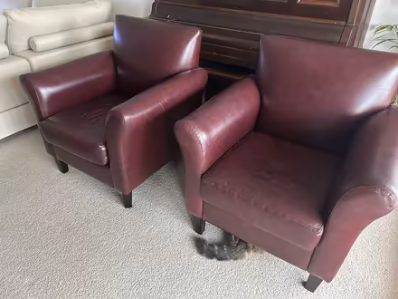 Photo of free leather armchairs (aspendale gardens) #1
