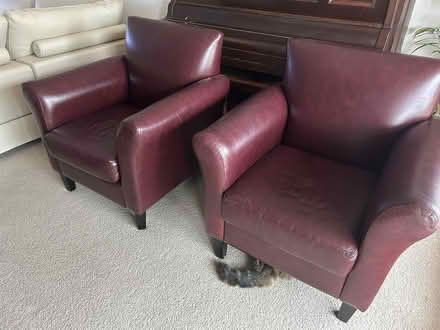 Photo of free leather armchairs (aspendale gardens) #1