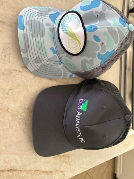 Photo of free Unworn hats (Cupertino) #1