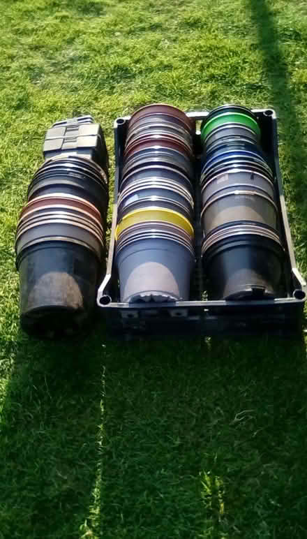 Photo of free Bigger plant pots (Priorslee TF2) #1