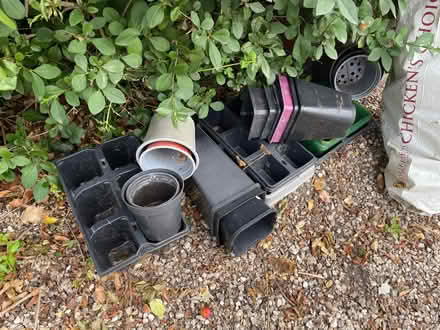 Photo of free Plant pots. (Sprowston NR7) #1