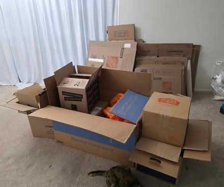 Photo of free Moving boxes, etc (Columbia) #1