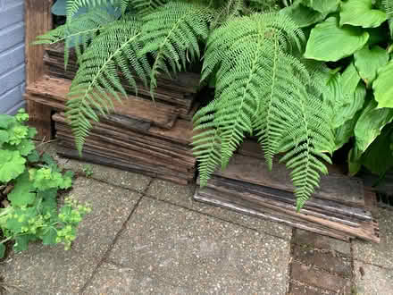 Photo of free Decking (Morningside EH10) #4