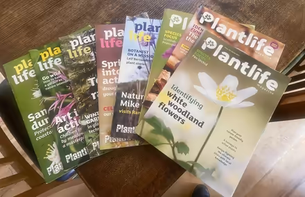 Photo of free Plantlife magazines (Kingsmead) #1