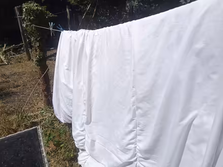 Photo of free Duvet (Colchester CO4) #1