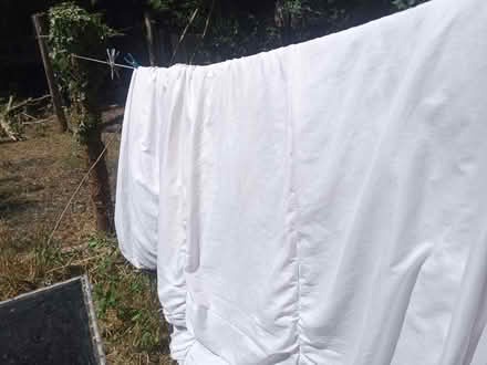 Photo of free Duvet (Colchester CO4) #1