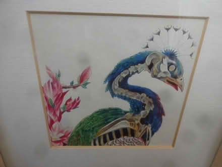 Photo of free Bird picture print in wooden frame (Greenford UB6 8PF) #3