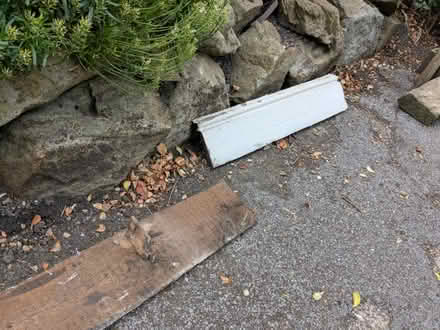 Photo of free Skirting board Victorian? (S7 Nether Edge) #3